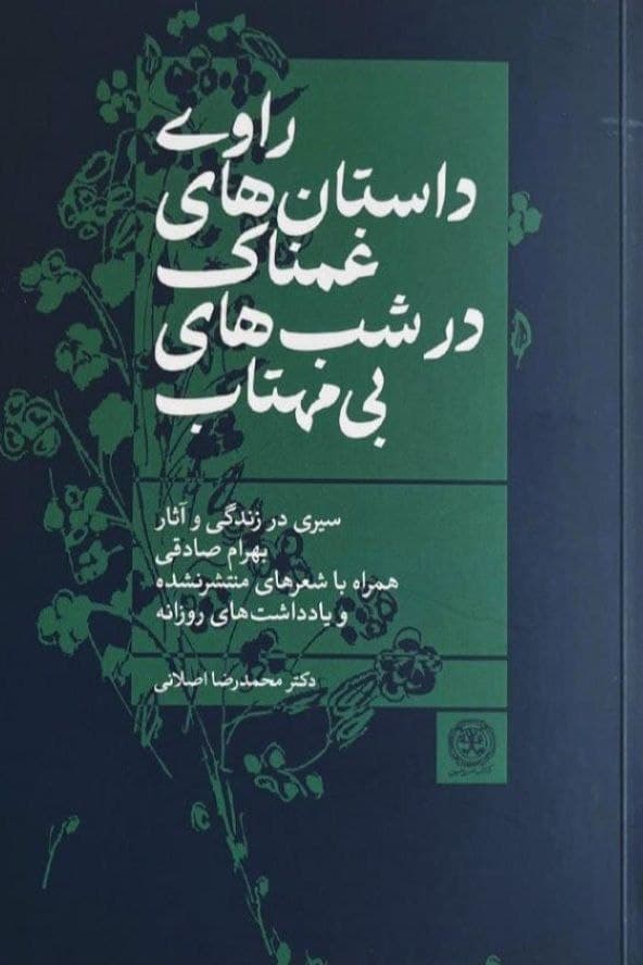 راوی داستان‌های غمناک در شب‌های بی‌مهتاب درباره‌ی بهرام صادقی است؛ از بهترین‌های داستان‌نویسی فارسی که خیلی زود غروب کرد. بخش اول کتاب مروری بر زندگی پُرفراز‌و‌نشیب اوست. بخش دوم، نقدی است که به مهم‌ترین ویژگی داستان‌های کوتاه بهرام صادقی، «طنز» می‌پردازد. بخش سوم، ملکوت را داستانی فلسفی می‌انگارد و از این منظر، آن را نقد و بررسی می‌کند. بخش چهارم، سال‌شمار زندگی و آثار اوست. بخش‌های پایانی شامل یادداشت‌های شخصی، شعرها، نامه‌ها و عکس‌هایی است که تاکنون منتشر نشده است. این کتاب در کنار کتاب «بهرام صادقی؛ بازمانده‌های غریبی آشنا» دو مجموعه کامل برای آشنایی با بهرام صادقی است.