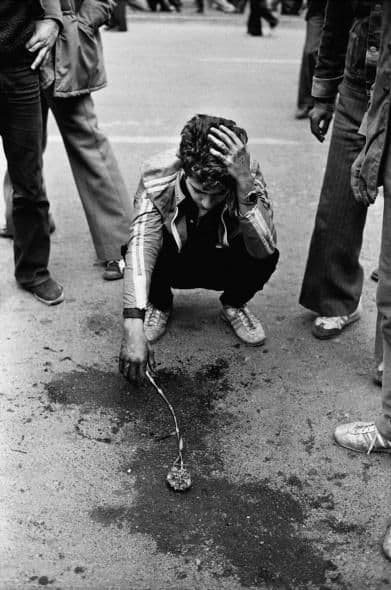 تصویر - ۱۴۰۳/۱/۱۳, ۱۷:۳۰